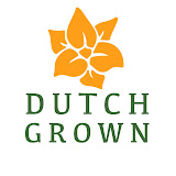 Dutch Grown (UK)